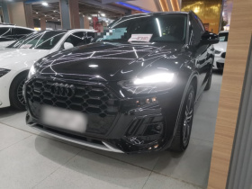 奥迪Q5L 2021款 40 TFSI 豪华动感型