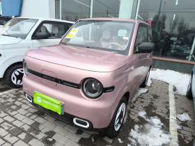 吉利银河 熊猫 2025款 210km 元气熊