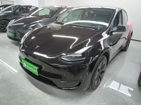 特斯拉 Model Y 2024款 后轮驱动版