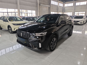 魏牌 VV5 2020款 1.5T 两驱颜先锋