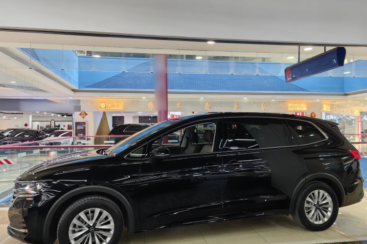 大众 威然 2024款 330TSI 商务版车身外观6002