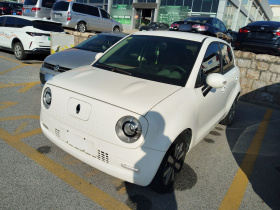 欧拉黑猫 2021款 351km 标准型