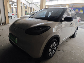 五菱汽车 五菱缤果 2024款 333km 悦享款