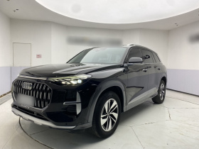 奥迪Q6 2023款 40 TFSI quattro 观云型 Light 羽林套装