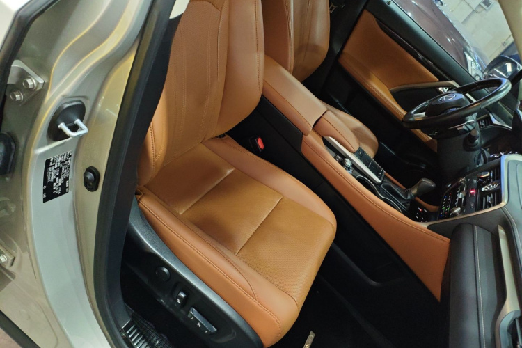 雷克萨斯RX 2020款 300 两驱舒适版 国VI局部细节41