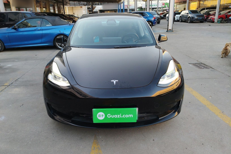 特斯拉 Model 3 2021款 标准续航后驱升级版 3D6车身外观6001