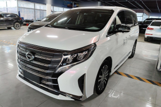 广汽传祺 传祺M8 2021款 领秀系列 390T 尊贵版