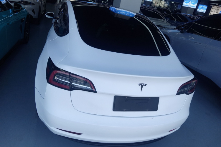 特斯拉 Model 3(进口) 2019款 长续航全轮驱动版车身外观6004