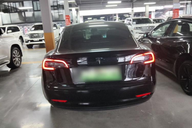 特斯拉 Model 3 2022款 Performance高性能全轮驱动版车身外观6004