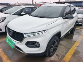 宝骏510 2019款 1.5L CVT优享型 国VI