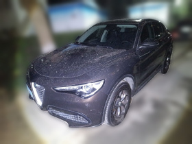 阿尔法·罗密欧 Stelvio斯坦维 2017款 2.0T 200HP 精英版