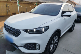 魏牌 VV6 2020款 2.0T 两驱智护+