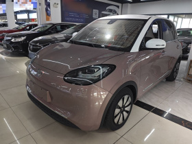 五菱汽车 五菱缤果 2023款 333km 灵犀互联款