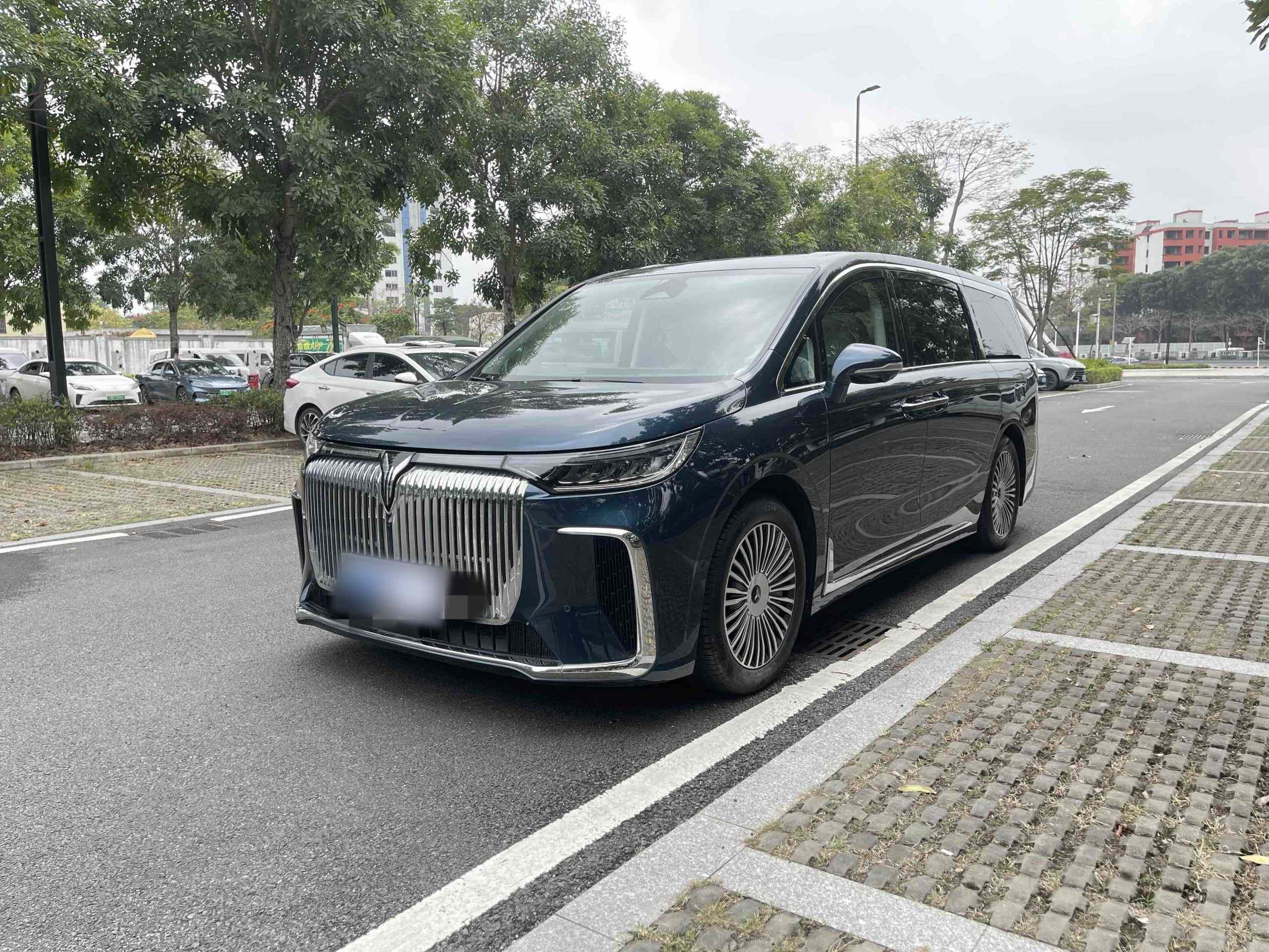 岚图汽车 岚图梦想家 2025款 PHEV 四驱旗舰鲲鹏版(2)
