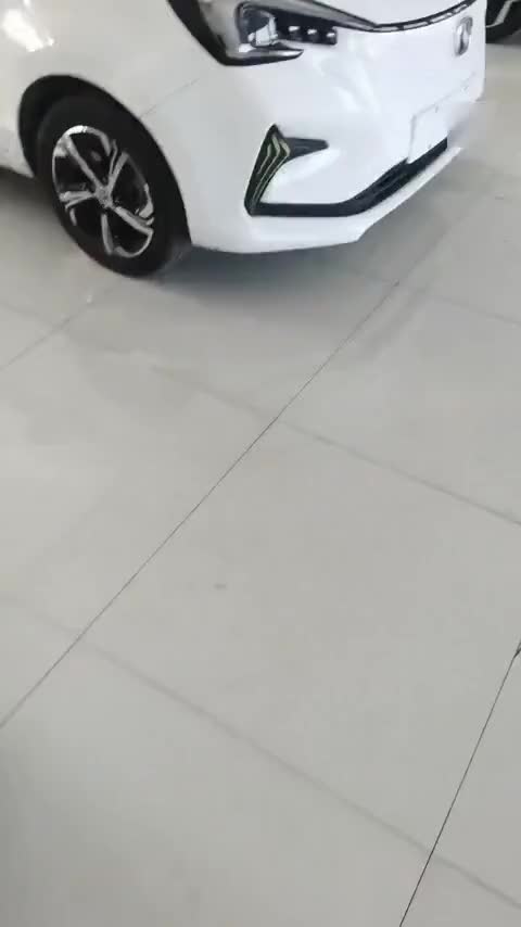 长安欧尚 奔奔E-Star 2020款 心动版 三元锂讲解2