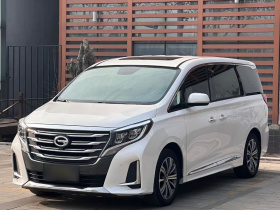 广汽传祺 传祺M8 2020款 领航款 390T 尊贵版