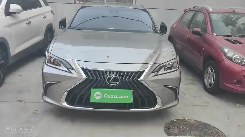 雷克萨斯ES 2024款 200 臻享版检测视频1