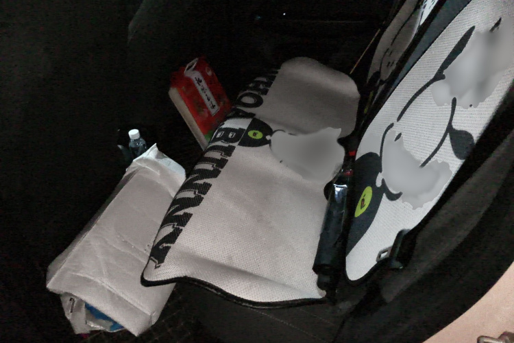 零跑汽车 零跑T03 2022款 特别版中控内饰7004