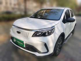 吉利几何 EX3 功夫牛 2021款 坚强牛牛