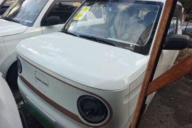 吉利银河 2024款 熊猫mini 200km 耐力熊