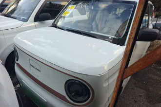 吉利银河 2024款 熊猫mini 200km 耐力熊