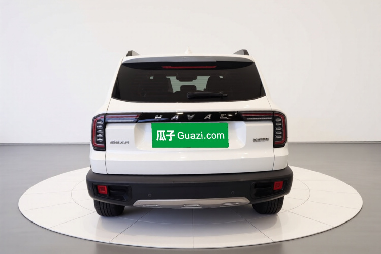 哈弗大狗 2021款 1.5T DCT两驱马犬-旺财版车身外观6