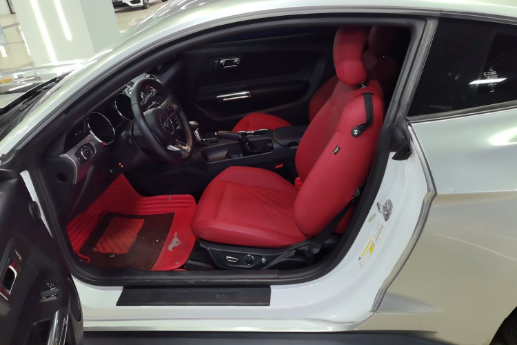 福特Mustang（平行进口） 局部细节19