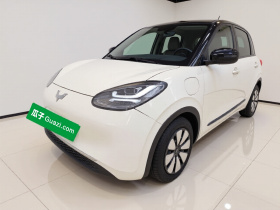 五菱汽车 五菱缤果 2023款 333km 灵犀互联款