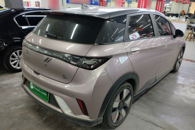 比亚迪 海豚 2023款 401km 骑士版车身外观7