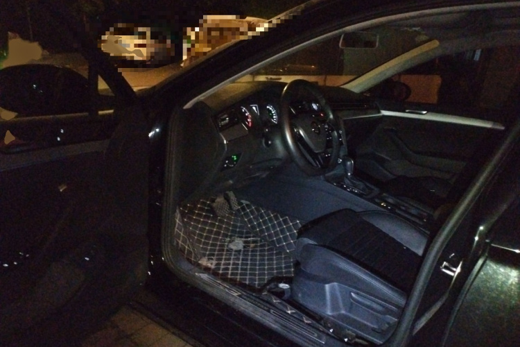 大众 迈腾 2019款 280TSI DSG 舒适型 国VI中控内饰7003