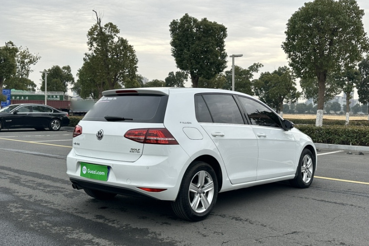 大众 高尔夫 2017款 230TSI 手动舒适百万辆纪念版车身外观6005