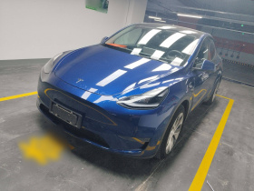特斯拉 Model Y 2021款 标准续航后驱版