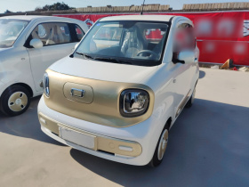 奔腾小马 2024款 170km 活力马