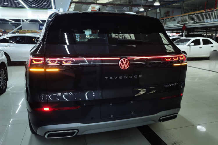 大众 揽巡 2023款 330TSI 豪华巡逸版车身外观6