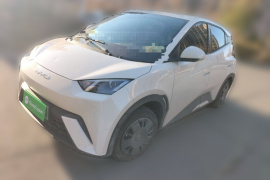 比亚迪 海鸥 2023款 活力版