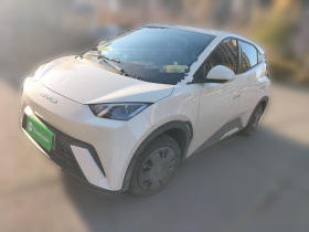 比亚迪 海鸥 2023款 活力版