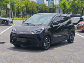 比亚迪 海鸥 2025款 305km 自由版