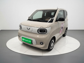 五菱汽车 宏光MINIEV 2024款 第三代 215km 青春版