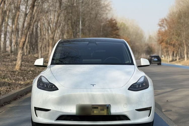 特斯拉 Model Y 2022款 Performance高性能全轮驱动版车身外观6006