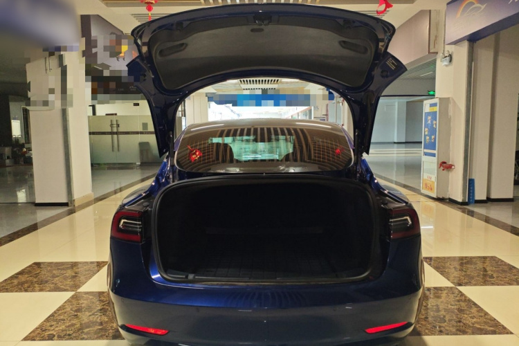 特斯拉 Model 3 2019款 标准续航后驱升级版局部细节23