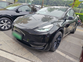 特斯拉 Model Y 2021款 标准续航后驱版