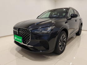 林肯 冒险家 2023款 2.0T 两驱尊享版