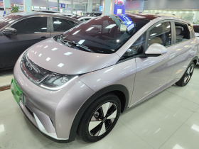 比亚迪 海豚 2023款 420km 时尚版