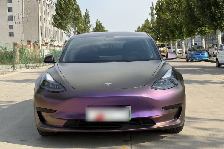 特斯拉 Model 3 2021款 标准续航后驱升级版车身外观6007