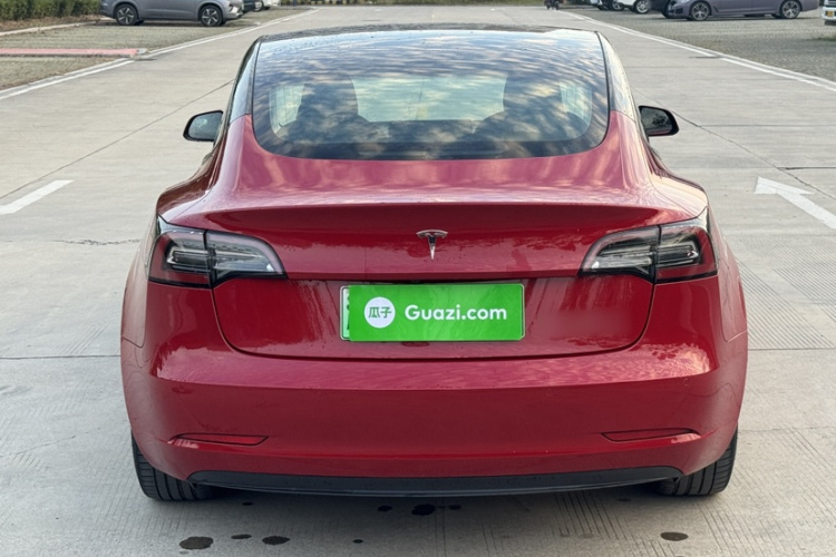 特斯拉 Model 3 2020款 改款 标准续航后驱升级版车身外观6007