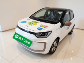 江淮钇为 钇为花仙子 2024款 挚爱版 301km Air