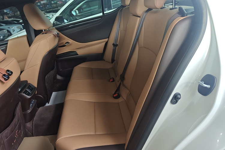 雷克萨斯ES 2020款 200 卓越版中控内饰21