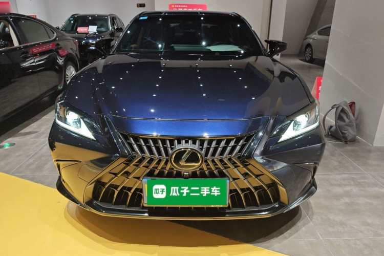 雷克萨斯ES 2022款 200 卓越版车身外观6001