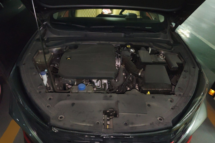 长安 逸动 2022款 PLUS 蓝鲸NE 1.4T GDI DCT尊贵版局部细节24