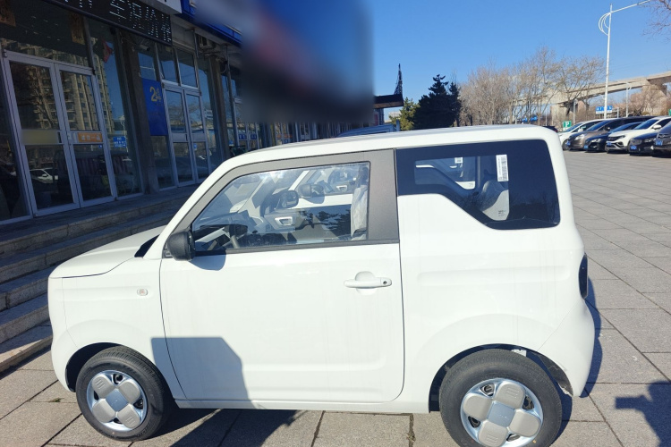 吉利银河 2024款 熊猫mini 200km 耐力熊车身外观4